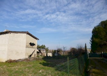 P1210679.JPG - Casa Colonica Castelbellino - foto 7