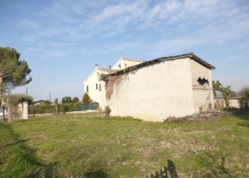 P1210684.JPG - Casa Colonica Castelbellino - foto 8