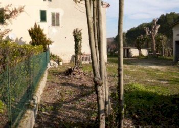 P1210685.JPG - Casa Colonica Castelbellino - foto 9