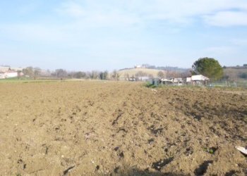 P1210686.JPG - Casa Colonica Castelbellino - foto 10