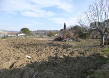 P1210687.JPG - Casa Colonica Castelbellino - foto 11