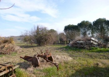 P1210689.JPG - Casa Colonica Castelbellino - foto 13
