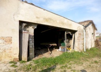 P1210691.JPG - Casa Colonica Castelbellino - foto 15