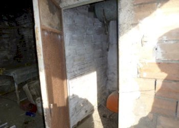 P1210700.JPG - Casa Colonica Castelbellino - foto 24