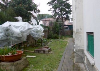 P1210313.JPG - Appartamento Monsano - foto 4