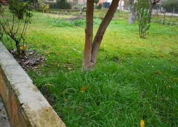 IMG_20180210_092706.jpg - Porzione di casa Monte Roberto - foto 5