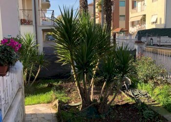 IMG-1679.JPG - Villa Jesi - foto 2