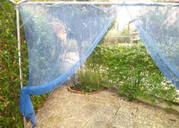 P1170824.JPG - Appartamento Jesi - foto 10