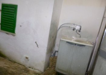 P1170827.JPG - Appartamento Jesi - foto 13