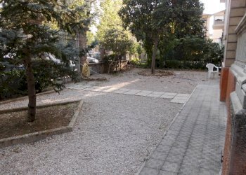 CIMG3043.JPG - Appartamento Jesi - foto 3