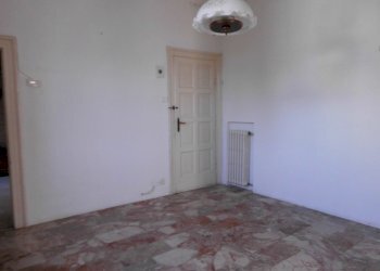 CIMG3053.JPG - Appartamento Jesi - foto 12