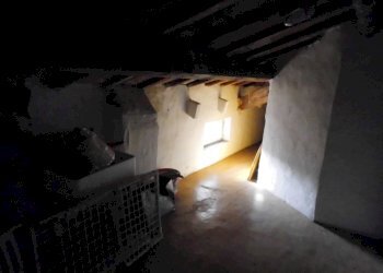 CIMG3069.JPG - Appartamento Jesi - foto 27