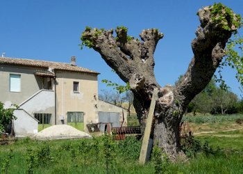 DSC02436.JPG - Porzione di casa Santa Maria Nuova - foto 5