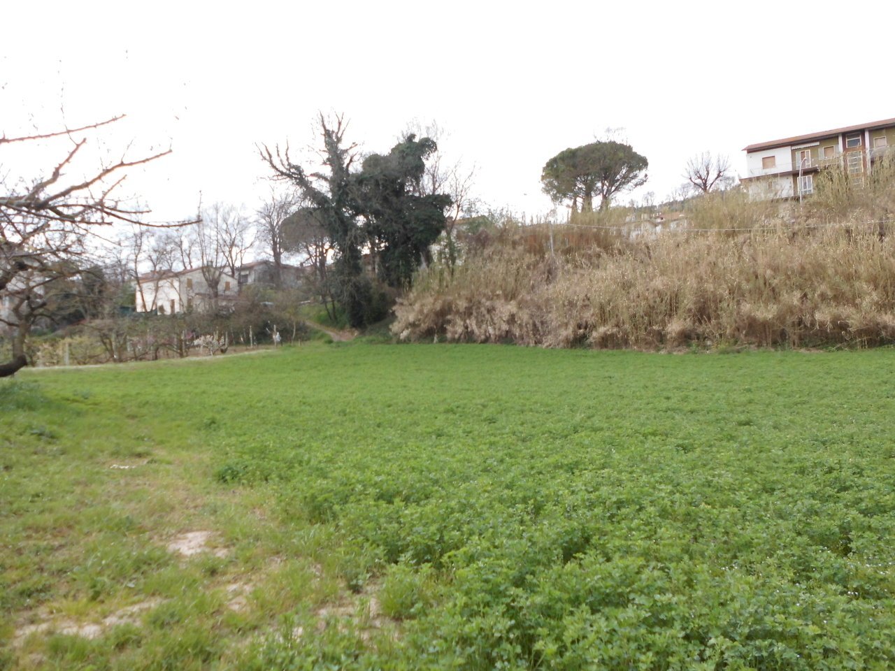 CIMG2932.JPG - Casale Castelplanio - foto 3