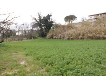 CIMG2932.JPG - Casale Castelplanio - foto 3