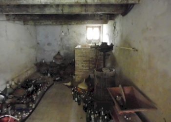 CIMG2943.JPG - Casale Castelplanio - foto 14