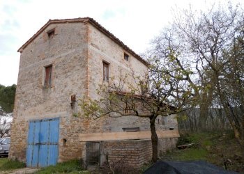 CIMG2944.JPG - Casale Castelplanio - foto 15