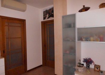 CIMG0223.JPG - Appartamento Jesi - foto 3