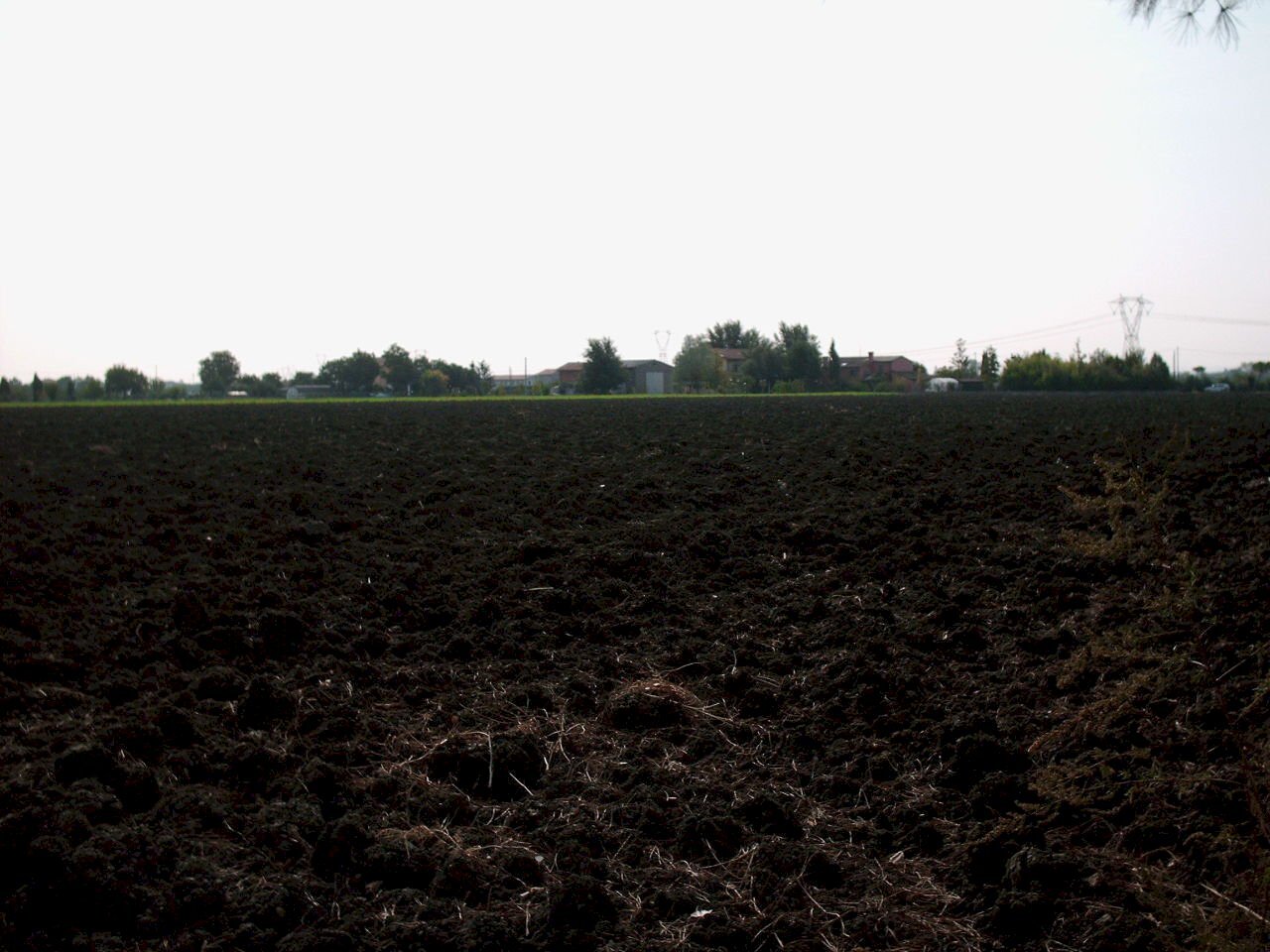 HPIM3373.JPG - Terreno agricolo Via Montescudo 150, Rimini - foto 1