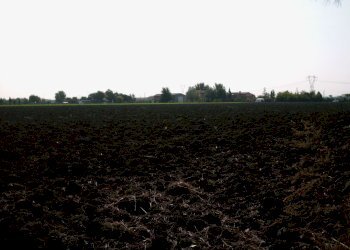 HPIM3373.JPG - Terreno agricolo Via Montescudo 150, Rimini - foto 1