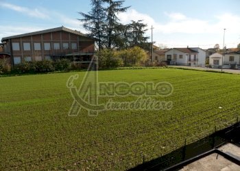 vista entrata3.JPG - Appartamento Via Vittorio Emanuele, Canaro - foto 16