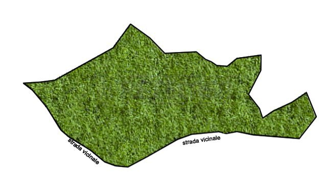 Planimetria - Terreno agricolo Valdagno - planimetria 1