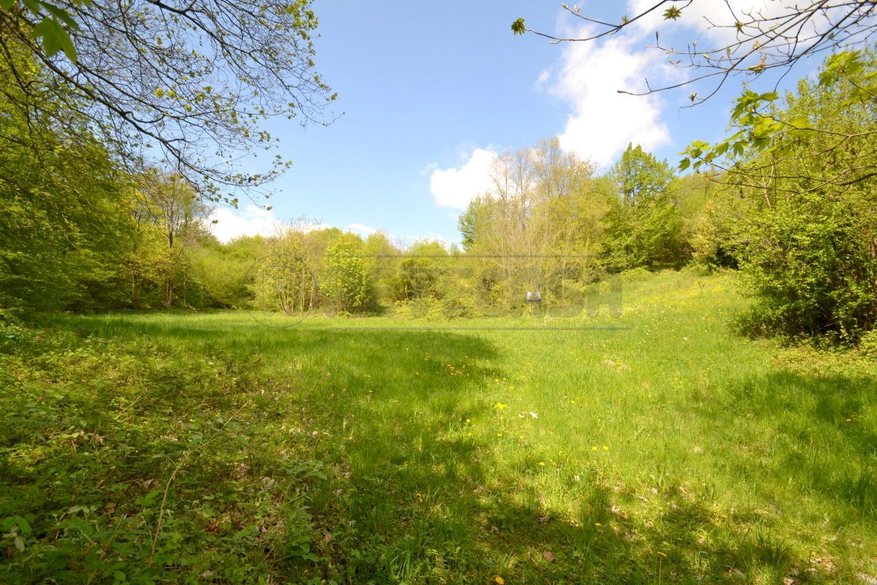 Retecasa_Valdagno - Terreno agricolo Valdagno - foto 1