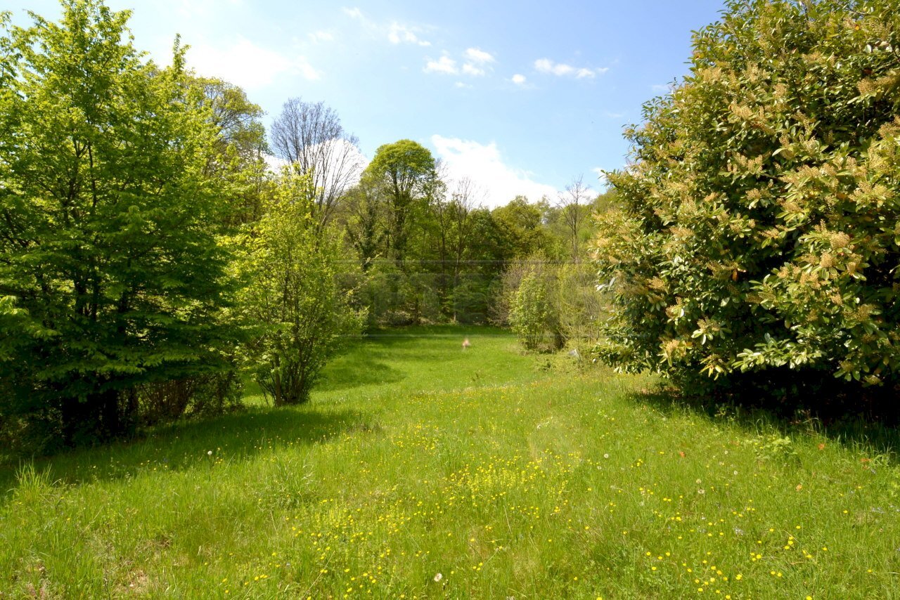 Retecasa_Valdagno - Terreno agricolo Valdagno - foto 3