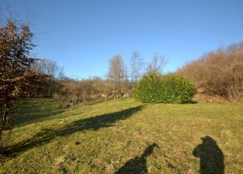 Terreno - Terreno agricolo Valdagno - foto 5