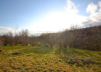 Terreno - Terreno agricolo Valdagno - foto 7