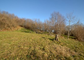 Terreno - Terreno agricolo Valdagno - foto 9