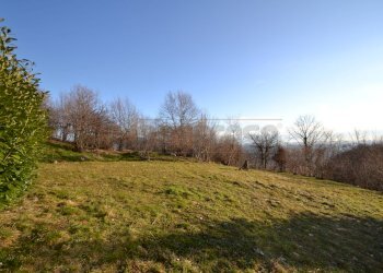 Terreno - Terreno agricolo Valdagno - foto 10