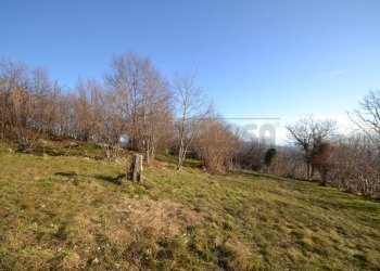 Terreno - Terreno agricolo Valdagno - foto 11