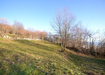 Terreno - Terreno agricolo Valdagno - foto 13