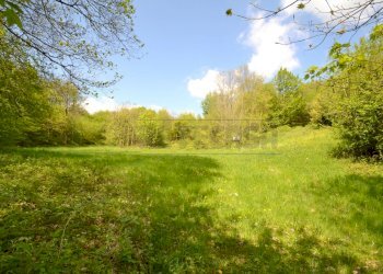 Retecasa_Valdagno - Terreno agricolo Valdagno - foto 1