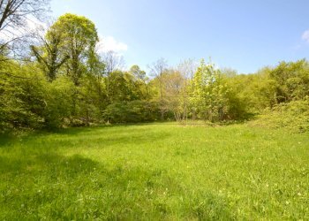 Retecasa_Valdagno - Terreno agricolo Valdagno - foto 2