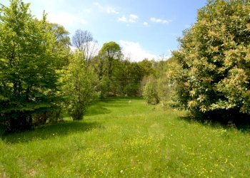 Retecasa_Valdagno - Terreno agricolo Valdagno - foto 3
