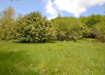 Retecasa_Valdagno - Terreno agricolo Valdagno - foto 4