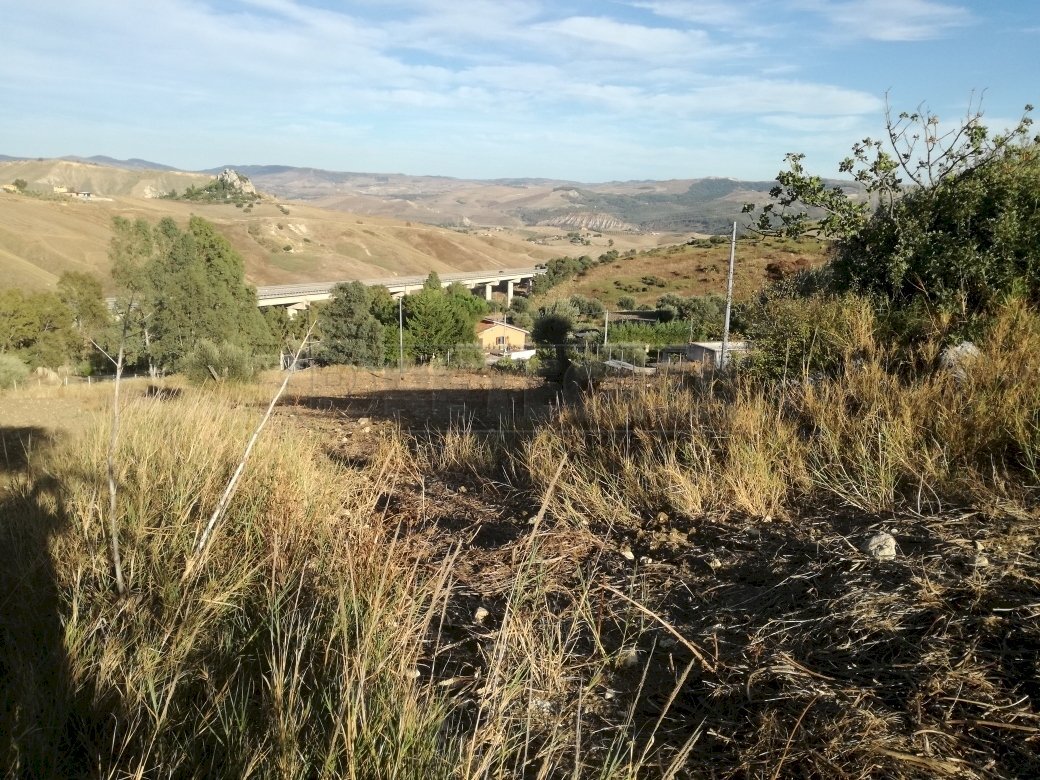 IMG_20190924_172716_resized_20190930_080156140.jpg - Terreno agricolo contrada SANTA LUCIA sn, Caltanissetta - foto 2