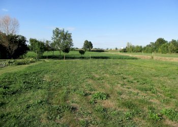 IMG_8404.JPG - Villa Campodarsego - foto 10