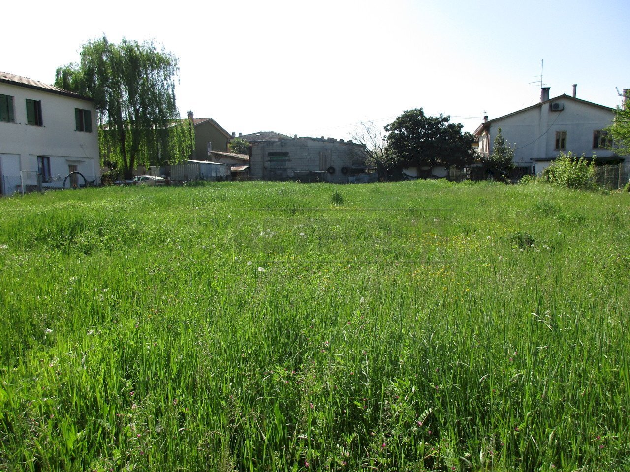 IMG_4515.JPG - Terreno edificabile Campodarsego - foto 2