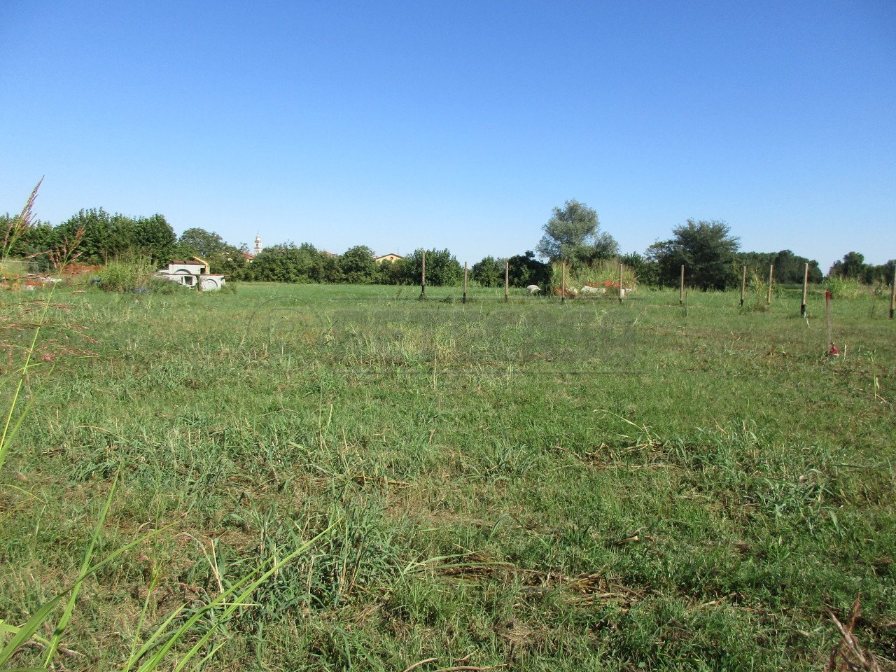 IMG_8456.JPG - Terreno edificabile Borgoricco - foto 1