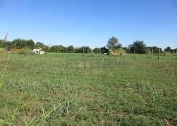 IMG_8456.JPG - Terreno edificabile Borgoricco - foto 1