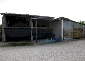 IMG_4516.JPG - Villa Massanzago - foto 6