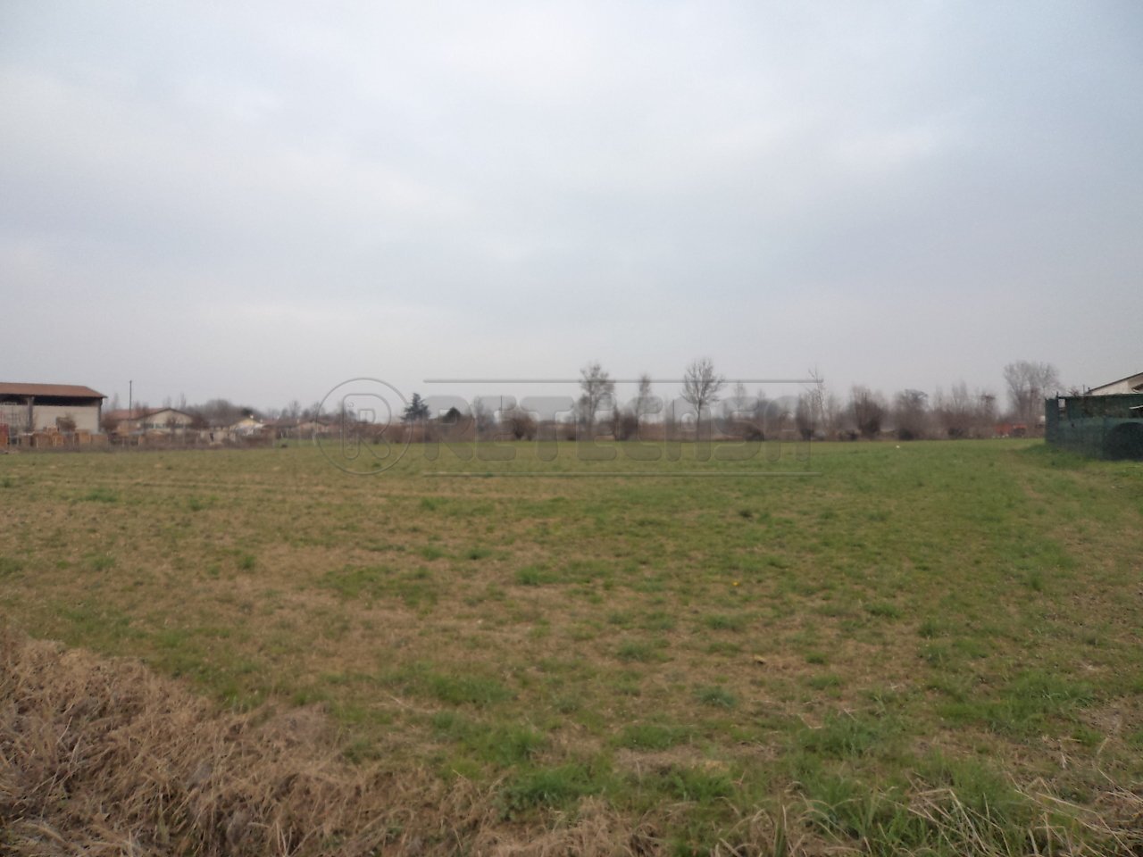 DSC05718.JPG - Terreno edificabile Santa Giustina in Colle - foto 1