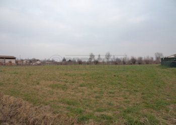 DSC05718.JPG - Terreno edificabile Santa Giustina in Colle - foto 1