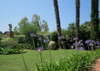 IMG_1055.JPG - Villa Lerici - foto 9