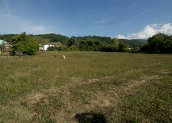 DSC00926.jpg - Terreno edificabile Licciana Nardi - foto 2