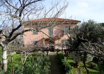 DSC00453.JPG - Villa Ameglia - foto 1