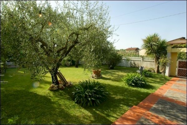 GIARDINO - Casa indipendente Luni - foto 2